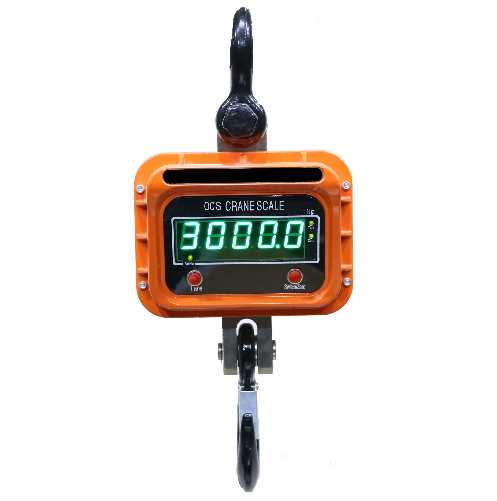Crane Scale